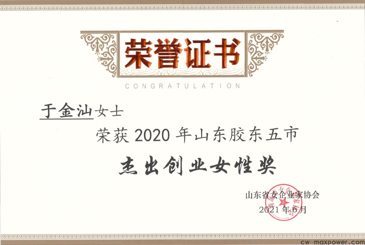 喜報！于金汕總經(jīng)理榮獲2020年山東膠東五市杰出創(chuàng)業(yè)女性獎(圖2)